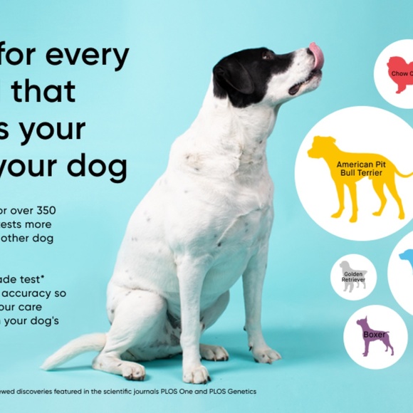 Embark Dog DNA Breed Identification Test - Picture 3 of 3